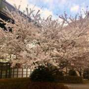 ヒメ日記 2026/04/26 19:18 投稿 七海　りょう 雫(しずく)