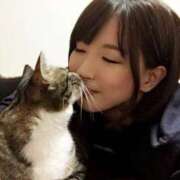 七海　りょう にゃんことの日常(=^ω^=) 雫(しずく)