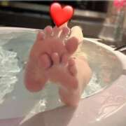 ヒメ日記 2025/11/05 11:47 投稿 みさき先生 渋谷   大人の幼稚園