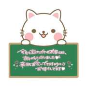 ヒメ日記 2023/11/30 04:18 投稿 まこと スピード日本橋店