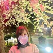 ヒメ日記 2025/04/07 20:30 投稿 春咲ゆあ ウルトラセレクション