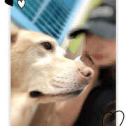 ヒメ日記 2025/07/23 19:55 投稿 すず 梅田人妻秘密倶楽部