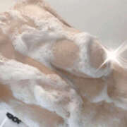 ヒメ日記 2025/12/30 08:55 投稿 すず 梅田人妻秘密倶楽部