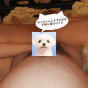 ヒメ日記 2026/01/12 17:50 投稿 すず 梅田人妻秘密倶楽部