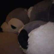 ヒメ日記 2026/02/19 18:20 投稿 すず 梅田人妻秘密倶楽部