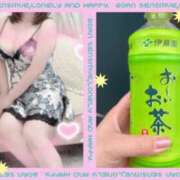 ヒメ日記 2025/11/11 12:03 投稿 蓮野 もか こあくまな熟女たち 西川口店(KOAKUMAグループ)