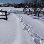 ヒメ日記 2024/01/18 12:51 投稿 かすみ 宇都宮ムンムン熟女妻