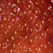 ヒメ日記 2025/02/21 21:39 投稿 かすみ 宇都宮ムンムン熟女妻