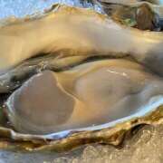 ヒメ日記 2026/01/07 23:08 投稿 かすみ 宇都宮ムンムン熟女妻