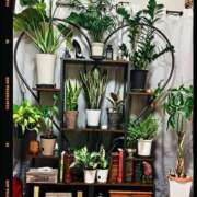 ヒメ日記 2025/10/04 12:03 投稿 ジェシカ 手コキ研究会