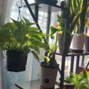 ヒメ日記 2025/10/05 08:31 投稿 ジェシカ 手コキ研究会