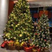 ヒメ日記 2024/12/12 01:18 投稿 菜々子(ななこ) 八王子人妻城