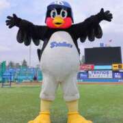 ヒメ日記 2025/02/20 01:33 投稿 菜々子(ななこ) 八王子人妻城