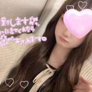 ヒメ日記 2025/02/19 10:07 投稿 るい 三つ乱本館