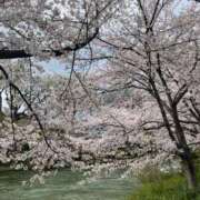 ヒメ日記 2025/04/10 12:07 投稿 るい 三つ乱本館