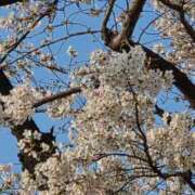 ヒメ日記 2026/03/29 23:38 投稿 みおん 御奉仕関係 -淑女の秘め事-