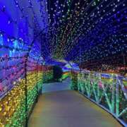 ヒメ日記 2024/12/10 23:46 投稿 一瀬果純 五十路マダム愛されたい熟女たち 福山店(カサブランカグループ)