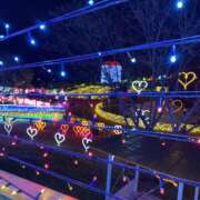 ヒメ日記 2025/03/29 16:00 投稿 一瀬果純 五十路マダム愛されたい熟女たち 福山店(カサブランカグループ)