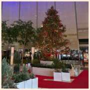 ヒメ日記 2024/12/13 09:41 投稿 かなた 奥鉄オクテツ兵庫