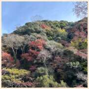 ヒメ日記 2024/12/18 13:48 投稿 かなた 奥鉄オクテツ兵庫