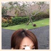 ヒメ日記 2025/11/14 10:18 投稿 かなた 奥鉄オクテツ兵庫