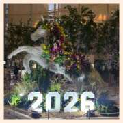 ヒメ日記 2025/12/27 23:38 投稿 かなた 奥鉄オクテツ兵庫