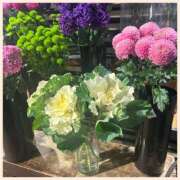 ヒメ日記 2025/12/28 00:08 投稿 かなた 奥鉄オクテツ兵庫