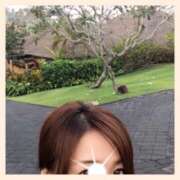 ヒメ日記 2026/03/24 13:04 投稿 かなた 奥鉄オクテツ兵庫