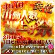 ヒメ日記 2026/03/30 07:36 投稿 かなた 奥鉄オクテツ兵庫