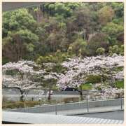 ヒメ日記 2026/04/01 13:18 投稿 かなた 奥鉄オクテツ兵庫