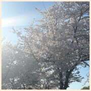 ヒメ日記 2026/04/06 08:01 投稿 かなた 奥鉄オクテツ兵庫