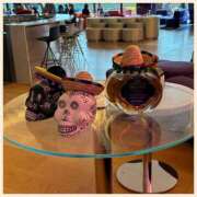 ヒメ日記 2026/04/18 16:34 投稿 かなた 奥鉄オクテツ兵庫