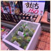 ヒメ日記 2026/10/25 09:22 投稿 かなた 奥鉄オクテツ兵庫