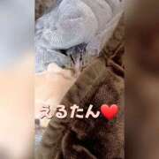 桃乃木　めい 神猫🐱 スッキリ商事