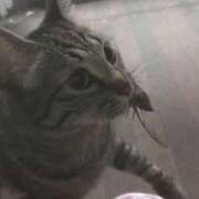 ヒメ日記 2025/06/19 17:02 投稿 ねむ Linda＆Linda(リンダリンダ)