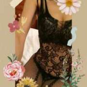 ヒメ日記 2024/12/18 15:51 投稿 みや 奥鉄オクテツ兵庫