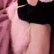 ヒメ日記 2026/04/25 14:57 投稿 らら ラブライフ越谷