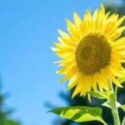 ヒメ日記 2025/07/27 12:26 投稿 のあ 西川口ビデオdeはんど