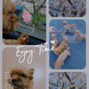 ヒメ日記 2025/04/15 08:03 投稿 ひろみ 北九州人妻倶楽部（三十路、四十路、五十路）