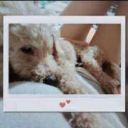 ヒメ日記 2025/07/08 06:43 投稿 ひろみ 北九州人妻倶楽部（三十路、四十路、五十路）