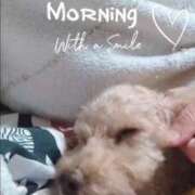 ヒメ日記 2025/12/11 07:20 投稿 ひろみ 北九州人妻倶楽部（三十路、四十路、五十路）