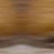 ヒメ日記 2025/07/28 17:30 投稿 なぎさ One More奥様　厚木店