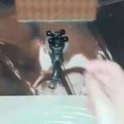 ヒメ日記 2025/08/24 09:30 投稿 なぎさ One More奥様　厚木店