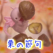 ヒメ日記 2025/09/09 18:30 投稿 なぎさ One More奥様　厚木店