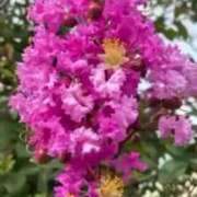 ヒメ日記 2025/09/23 18:10 投稿 なぎさ One More奥様　厚木店