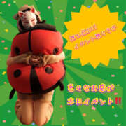 ヒメ日記 2025/09/25 07:50 投稿 なぎさ One More奥様　厚木店