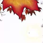 ヒメ日記 2025/09/29 18:57 投稿 なぎさ One More奥様　厚木店