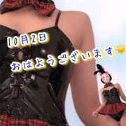 ヒメ日記 2025/10/02 08:25 投稿 なぎさ One More奥様　厚木店