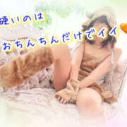 ヒメ日記 2025/10/03 10:18 投稿 なぎさ One More奥様　厚木店