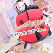 ヒメ日記 2025/10/09 20:37 投稿 なぎさ One More奥様　厚木店